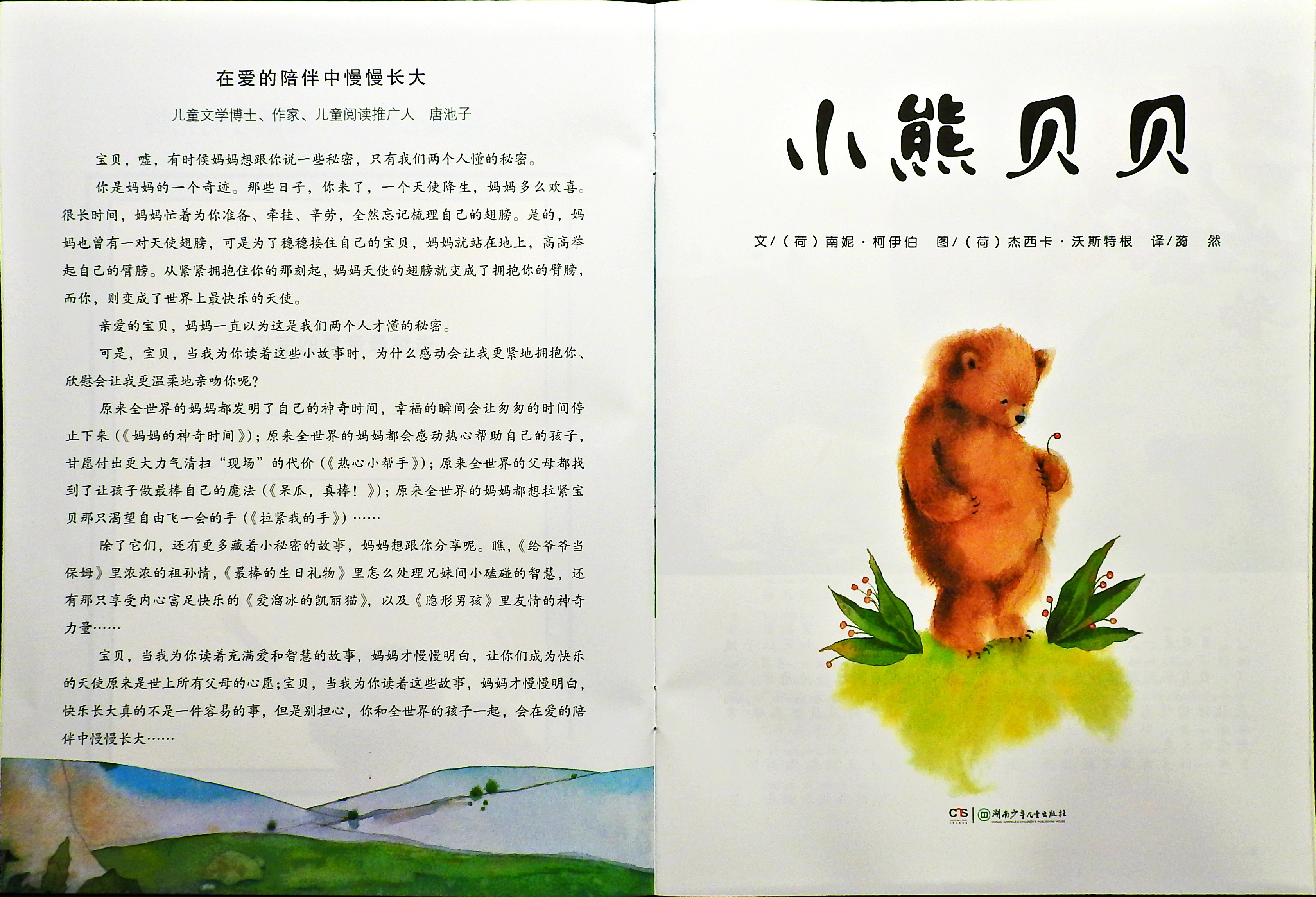 小熊贝贝 (03),绘本,绘本故事,绘本阅读,故事书,童书,图画书,课外阅读